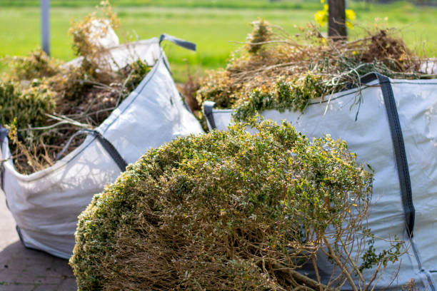 Professional Junk Removal in Geneva, IN